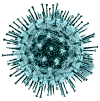 Desinfecta tu calzado